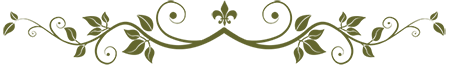 Agriturismo I Casalini